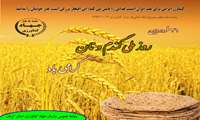 تولید گندم مرغوب، حلقه اول زنجیره تامین غذای سالم