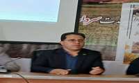 فرماندار رابر: عسل رابر برندی ملی با ظرفیت جهانی است