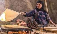 از مزرعه تا نان؛ شرکت خدمات حمایتی کشاورزی کرمان همراه همیشگی گندم‌کاران