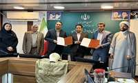 نخلبانان کوچک، دستانی توانا برای حراست از نخلستانها؛  تفاهم نامه همکاری مشترک در حفظ و حراست از محصول استراتژیک خرما