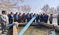رونق آبزی‌پروری در کرمان؛ افتتاح مجموعه ۱۰۰ تنی پرورش ماهی با تأکید بر اشتغال‌زایی و غنی‌سازی منابع آب