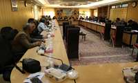کنترل جابجایی پاجوش های خرما و قرنطینه نخلستان هایی که آفت در آنجا مشاهده نشده، می تواند مسیر مبارزه با آفت سرخرطومی حنایی خرما را کوتاه تر و رسیدن به هدف را تسریع نماید.