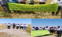 روز مزرعه در شهرستان ارزوئیه با بررسی عملکرد ارقام گندم دوروم و سیروان برگزار شد.