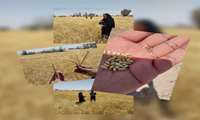 طرح محلول پاشی سیلیسیوم بر روی رقم محلی گندم در شهرستان فهرج