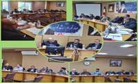 مشکلات اتحادیه مرغداران زیر ذره بین مسئولین سازمان جهاد کشاورزی استان کرمان