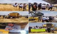 برگزاری کارگاه آموزشی تنظیم کمباین وکنترل ریزش محصول در شهرستان ارزوئیه "