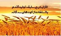 دستاوردی تحسین برانگیز در خشکسال زراعی گذشته تجربه ای ارزشمند برای آینده