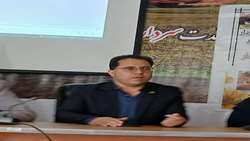 فرماندار رابر: عسل رابر برندی ملی با ظرفیت جهانی است
