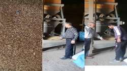  بوجاری هزار کیلوگرم بذر یونجه برای کشاورزان در شهرستان بم استان کرمان