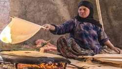  از مزرعه تا نان؛ شرکت خدمات حمایتی کشاورزی کرمان همراه همیشگی گندم‌کاران