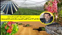 کرمان؛ پیشگام طرح ملی مزارع الگویی کشاورزی با هدف ارتقاء فناوری و امنیت غذایی