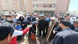 کاشت نهال به یاد چهلمین روز عروج ملکوتی قائد شهید امت در سیرجان