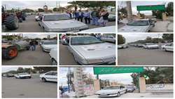 برگزاری مانور مشترک مقابله با آفات ملخ صحرایی و سوسک سرخرطومی حنایی در شهرستان ریگان