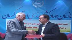 تفاهم نامه همکاری فی مابین ادراه کل امور روستایی و شوراهای استانداری و سازمان جهاد کشاورزی استان کرمان منعقد شد.
