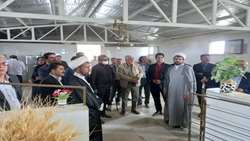 بهره برداری از واحد پرورش دام اصلاح شده 250 رأسی بردسیر همزمان با آغاز سال زراعی استان