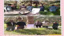 آموزش اصول بهداشتی برداشت محصول خرما در شهرستان فهرج