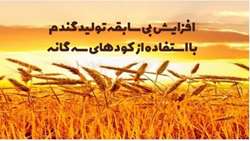 دستاوردی تحسین برانگیز در خشکسال زراعی گذشته تجربه ای ارزشمند برای آینده