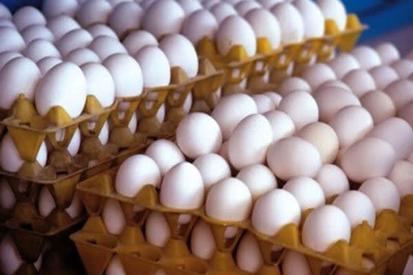 کشور ظرفیت تولید ۲.۵ میلیون تن تخم‌ مرغ را دارد