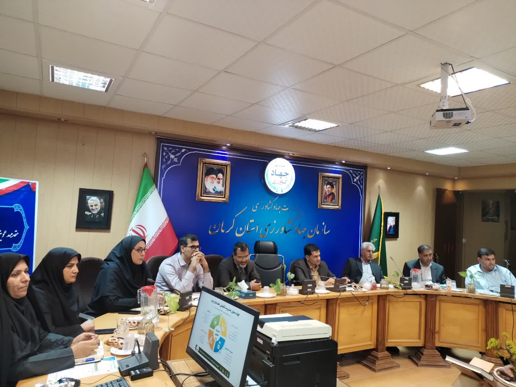 تأکید بر مدیریت تلفیقی علف‌های هرز در چهارمین نشست ستاد گیاهپزشکی کرمان